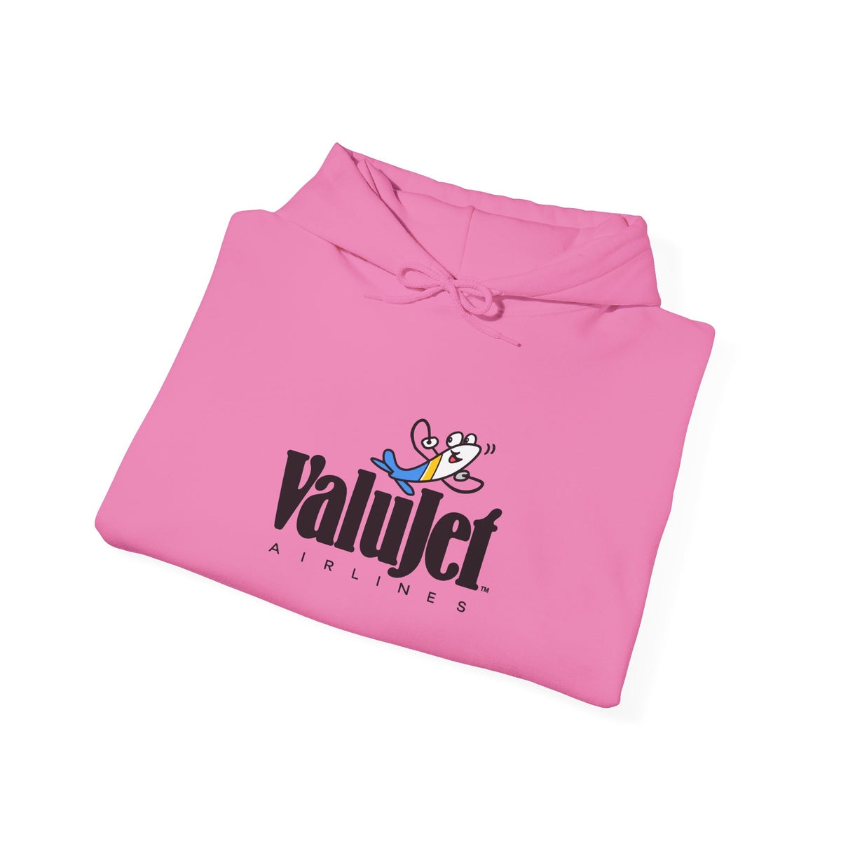 ValuJet Airlines Hoodie / Sweatshirt