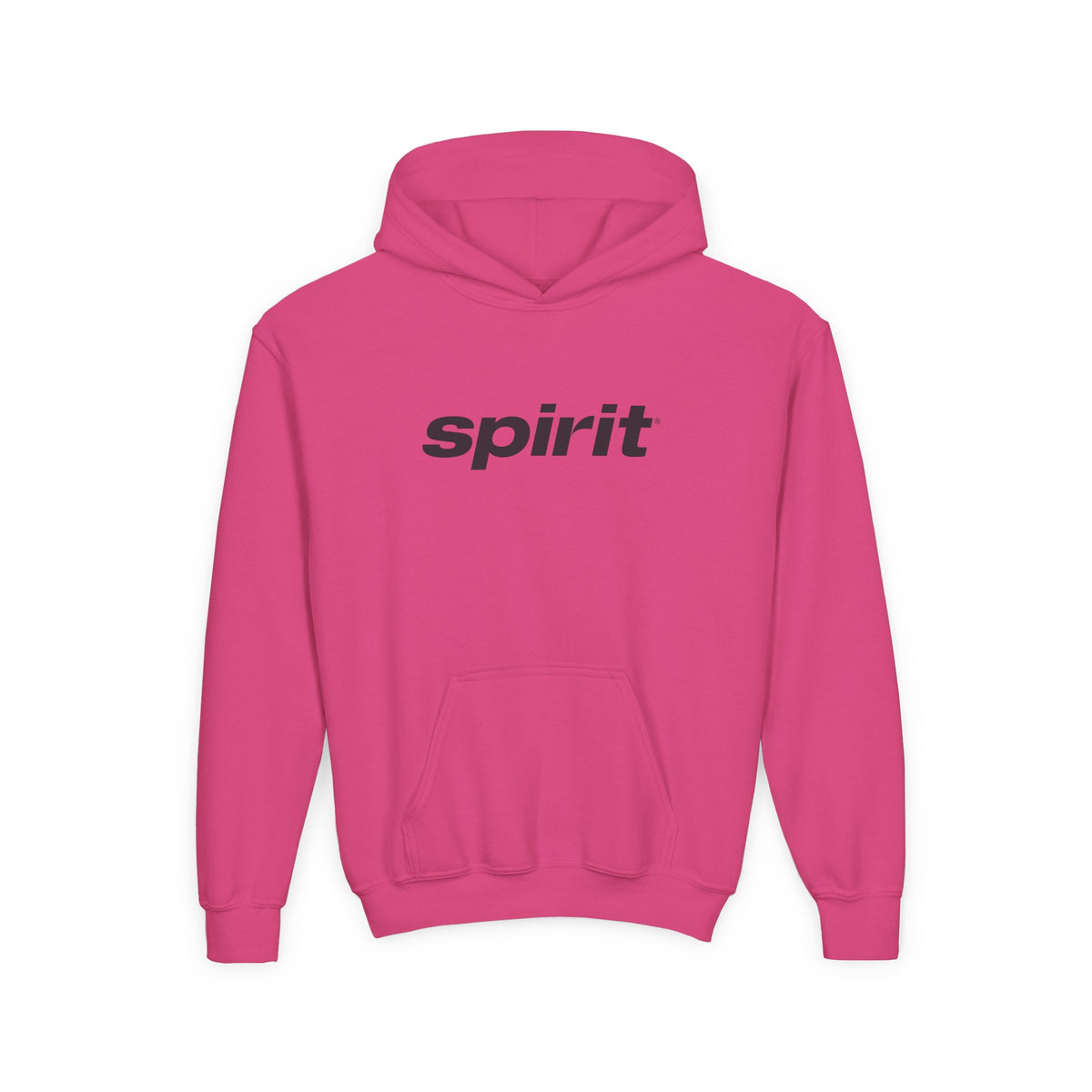 Spirit Airlines Youth Hoodie / Swaetshirt