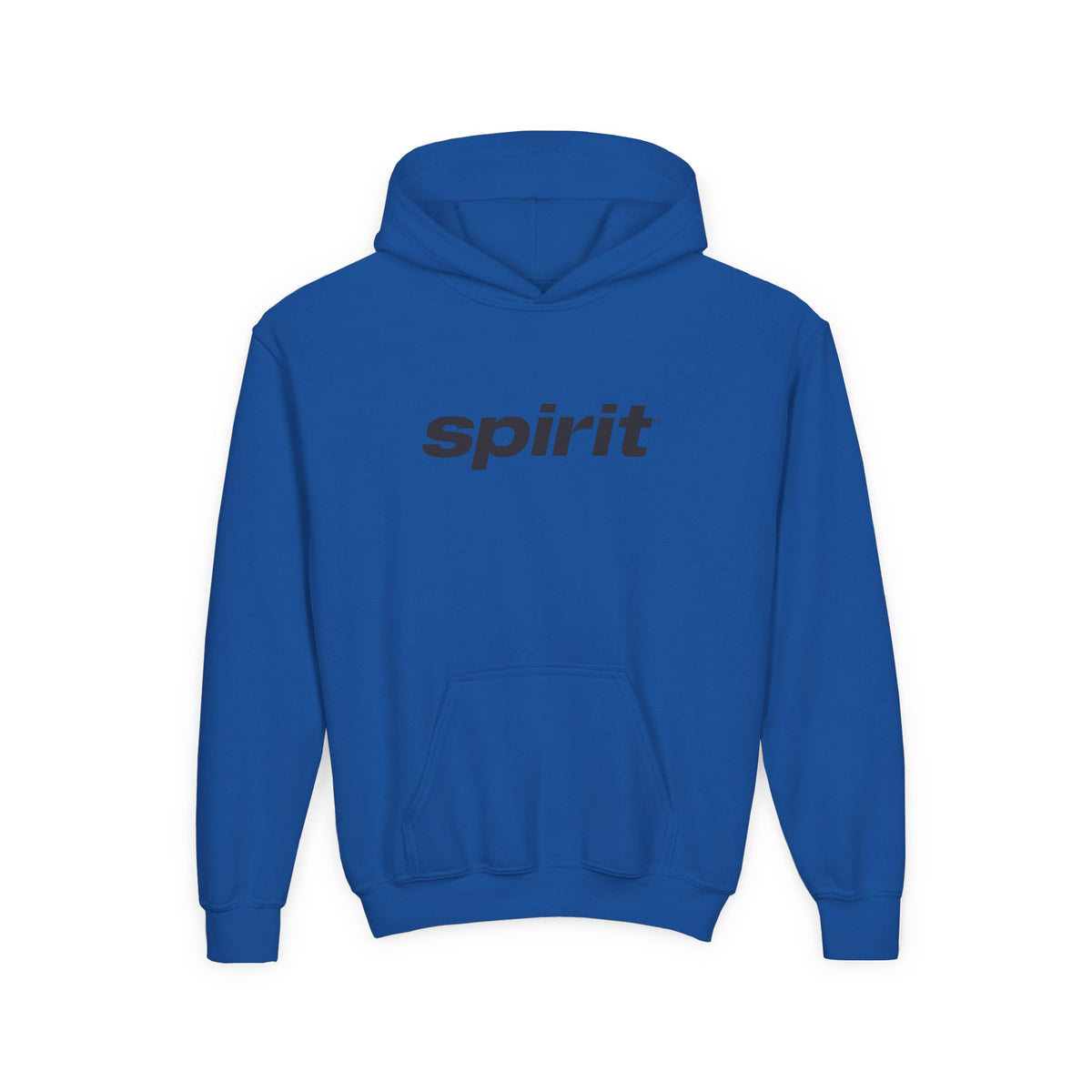 Spirit Airlines Youth Hoodie / Swaetshirt