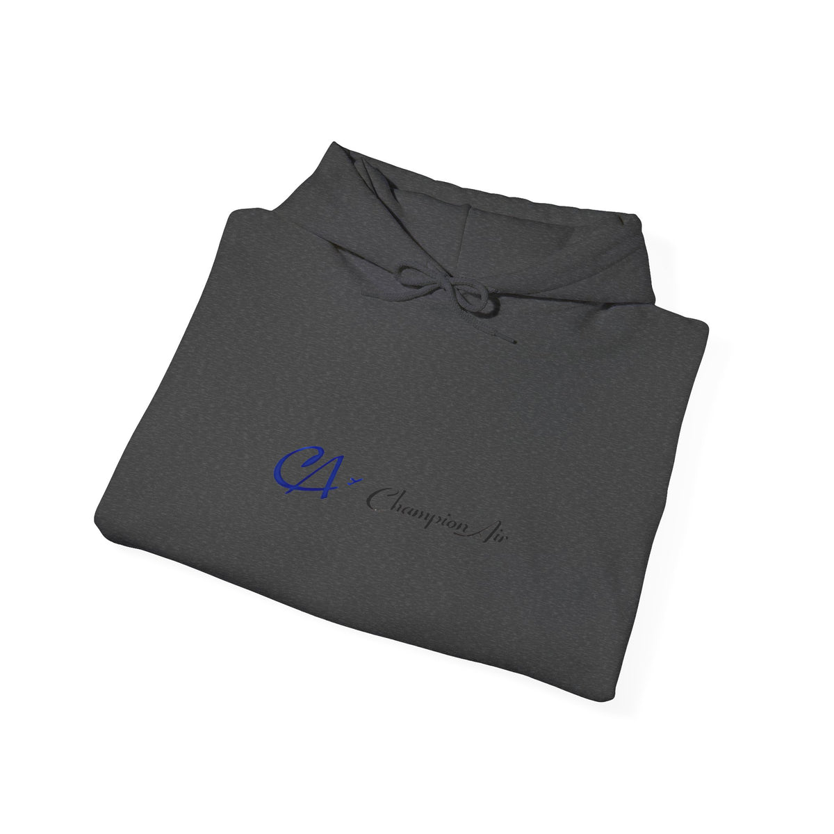 Champion Air Hoodie / Sweatshirt