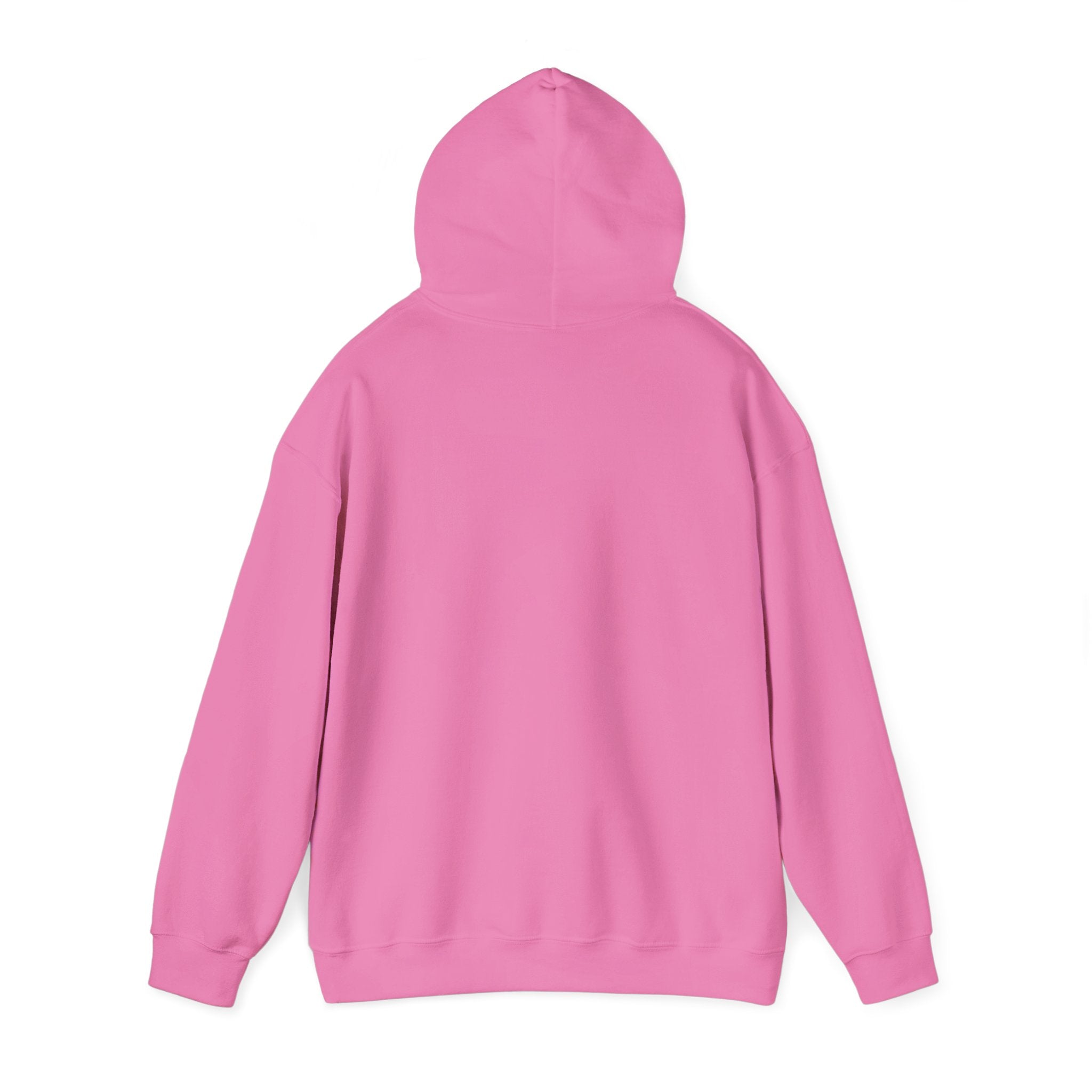 Northwestern Bell Hoodie / Sweatshirt
