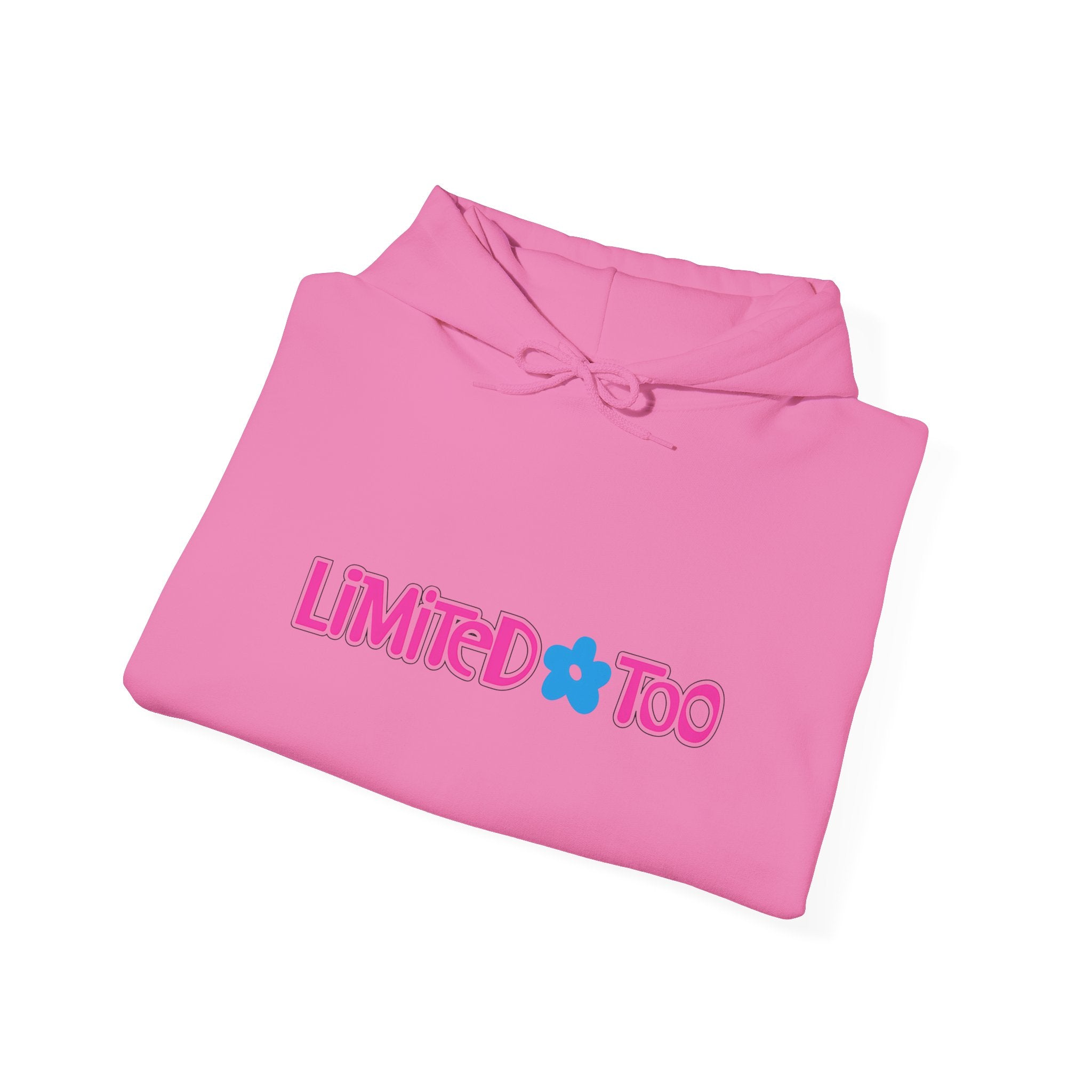 Limited Too Hoodie / Sweatshirt