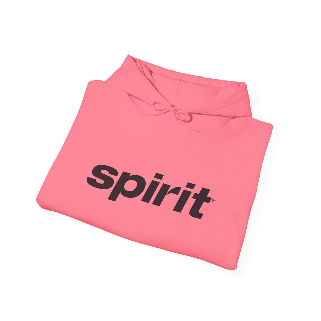 Spirit Airlines Hoodie / Sweatshirt