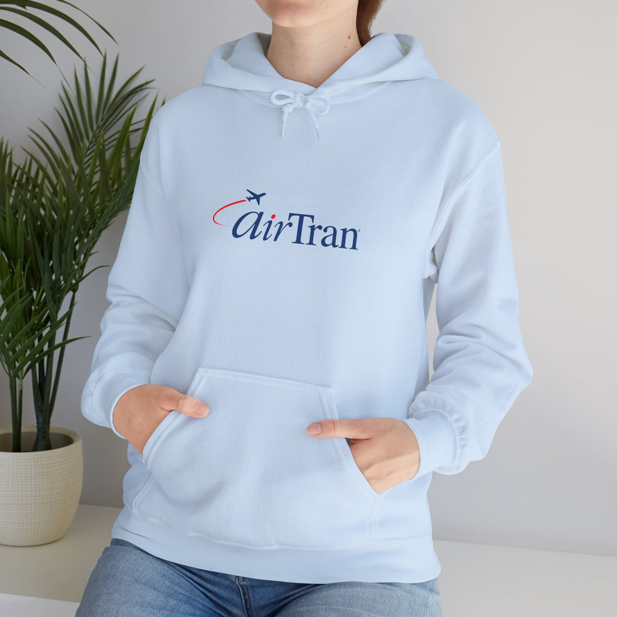 AirTran Airways Hoodie / Sweatshirt