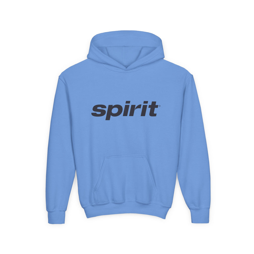 Spirit Airlines Youth Hoodie / Swaetshirt