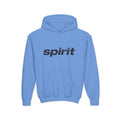 Spirit Airlines Youth Hoodie / Swaetshirt