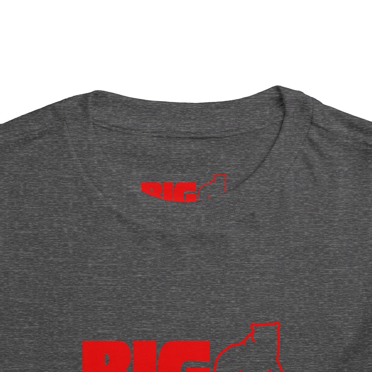 Big Bear Stores Toddler Tee / T-Shirt