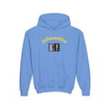 Infonautics Youth Hoodie / Sweatshirt