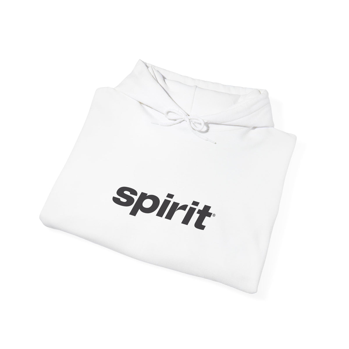 Spirit Airlines Hoodie / Sweatshirt