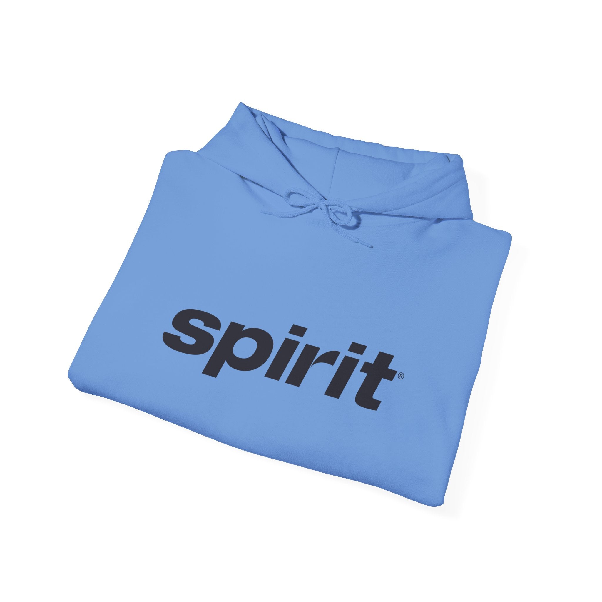 Spirit Airlines Hoodie / Sweatshirt