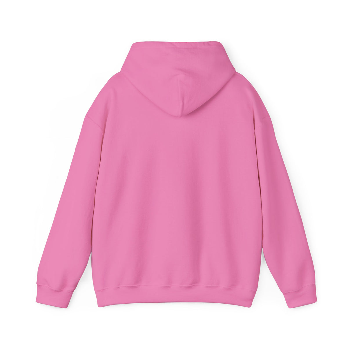 Wachovia Hoodie / Sweatshirt
