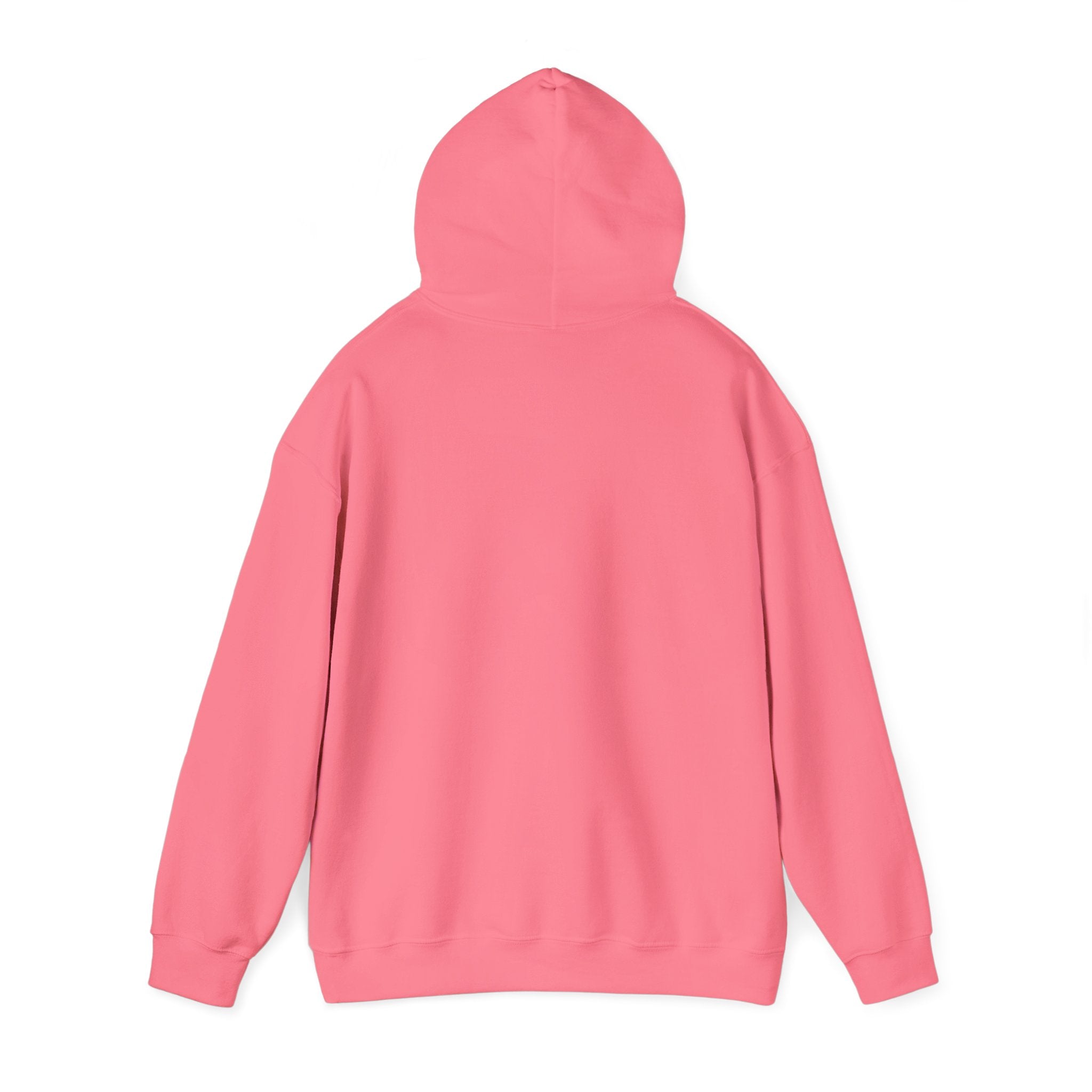 Northwestern Bell Hoodie / Sweatshirt