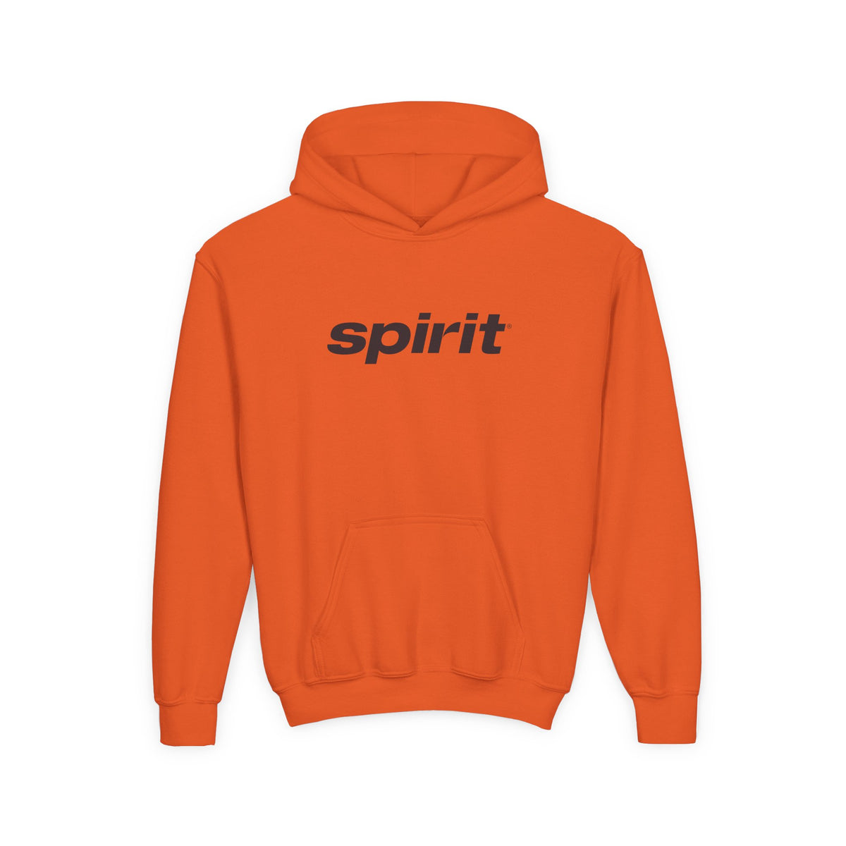 Spirit Airlines Youth Hoodie / Swaetshirt