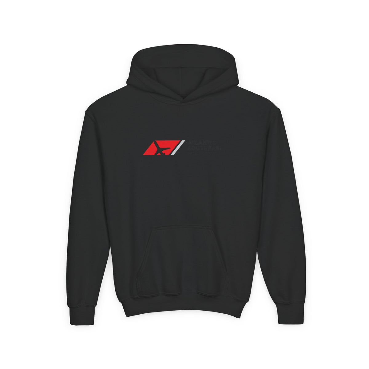Atlantic Southeast Airlines Youth Hoodie / Sweatshirt