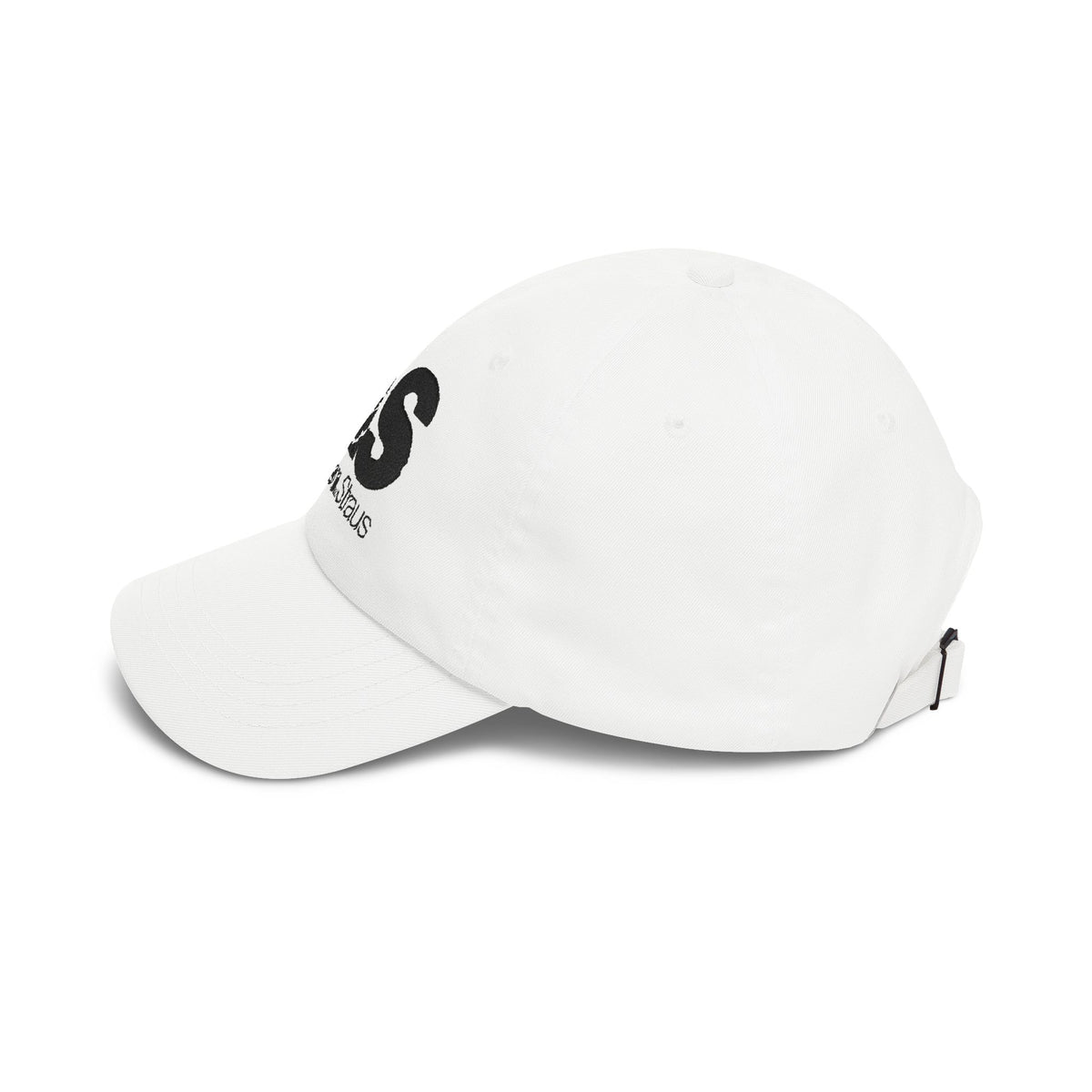 Abraham & Straus Embroidered Dad Cap Hat