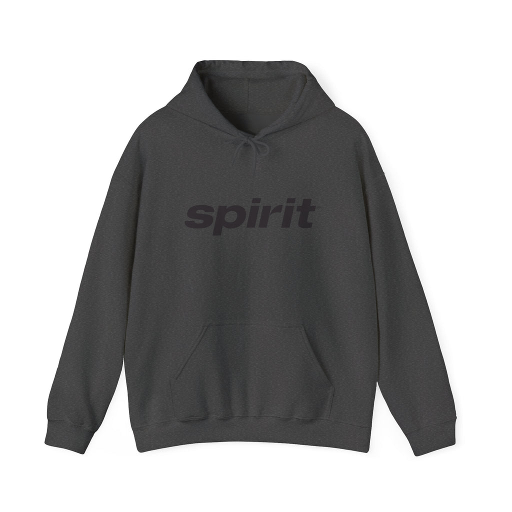 Spirit Airlines Hoodie / Sweatshirt