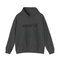 Spirit Airlines Hoodie / Sweatshirt