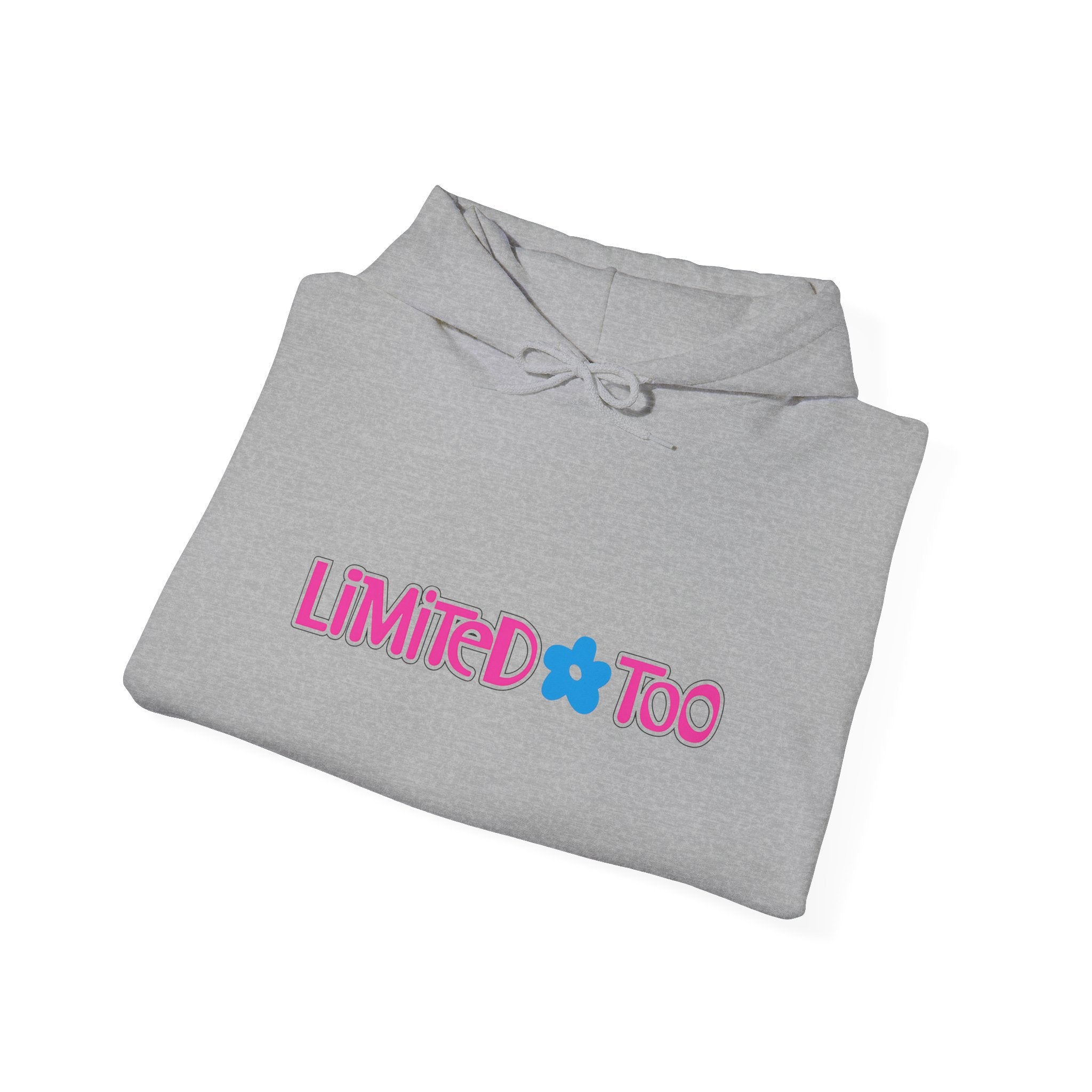 Limited Too Hoodie / Sweatshirt