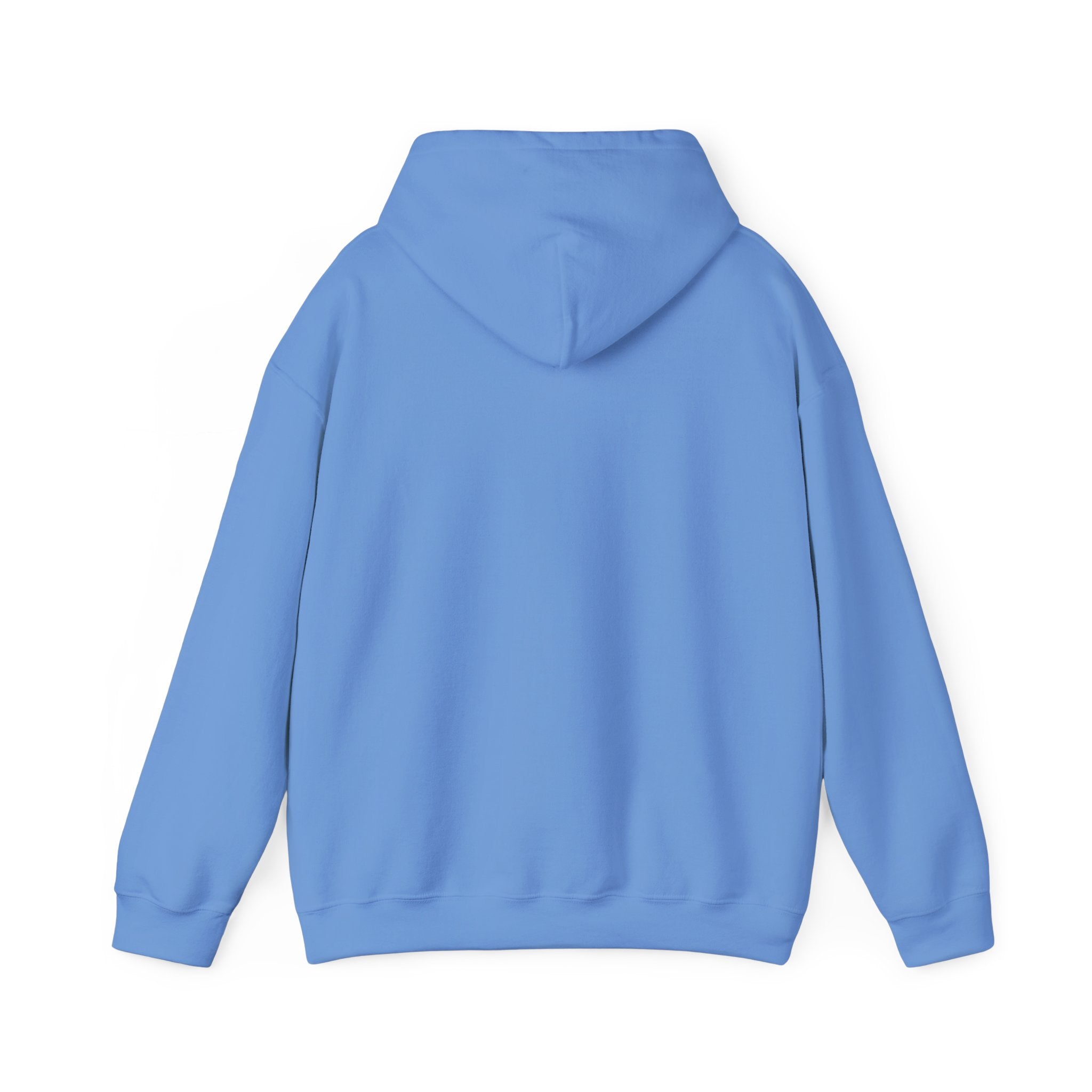 Northwestern Bell Hoodie / Sweatshirt