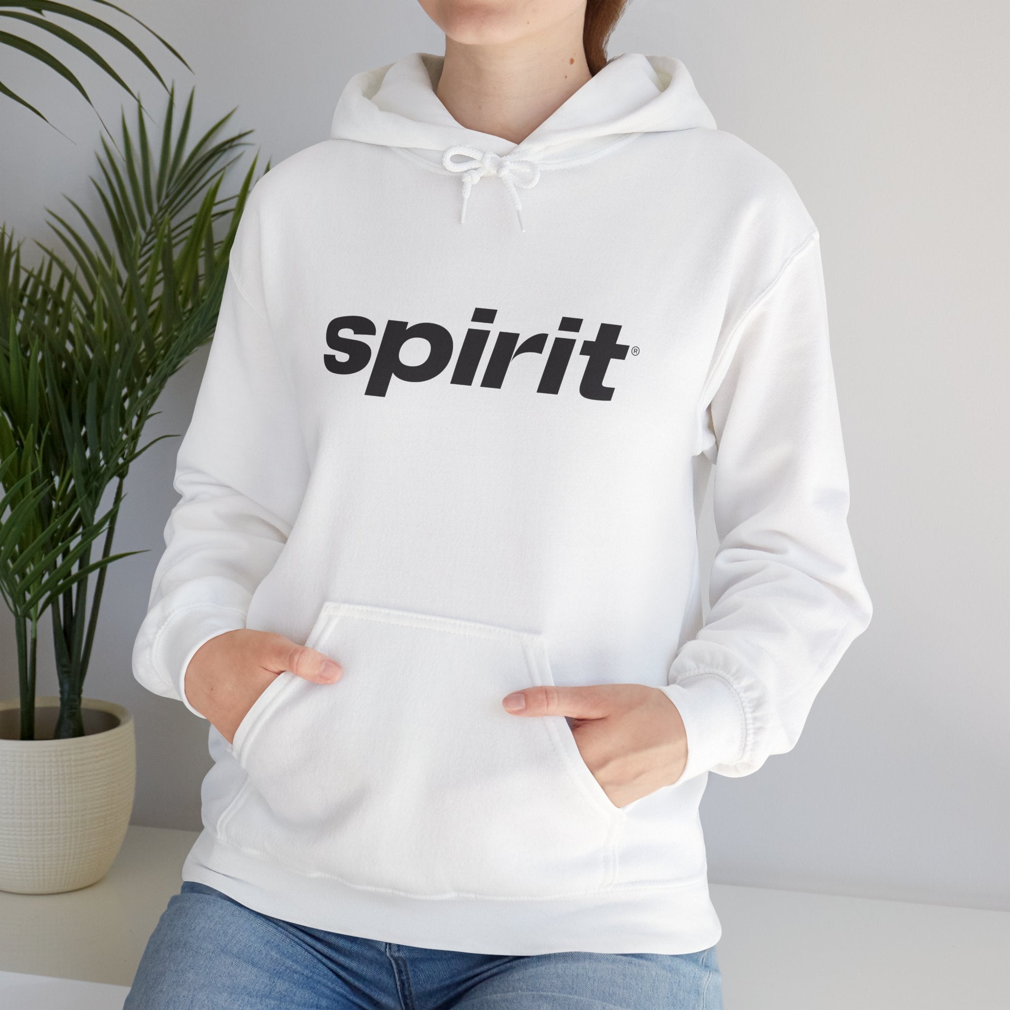 Spirit Airlines Hoodie / Sweatshirt