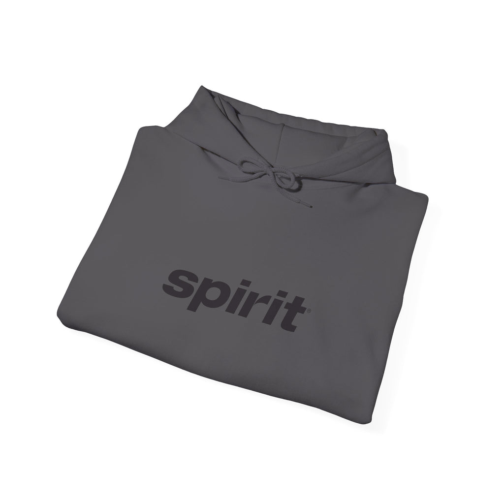 Spirit Airlines Hoodie / Sweatshirt