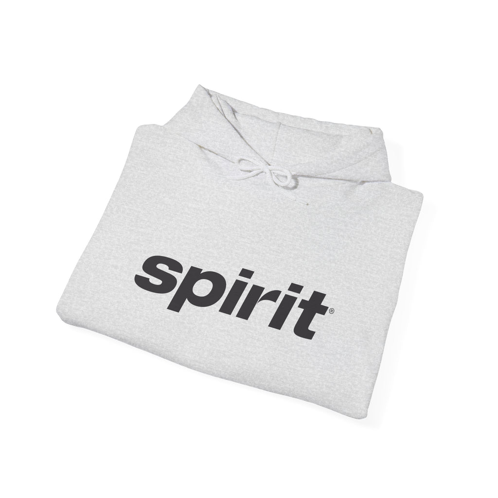 Spirit Airlines Hoodie / Sweatshirt