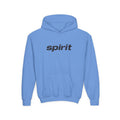 Spirit Airlines Youth Hoodie / Swaetshirt