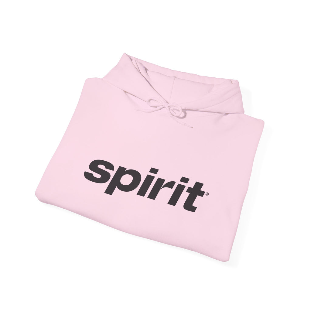 Spirit Airlines Hoodie / Sweatshirt