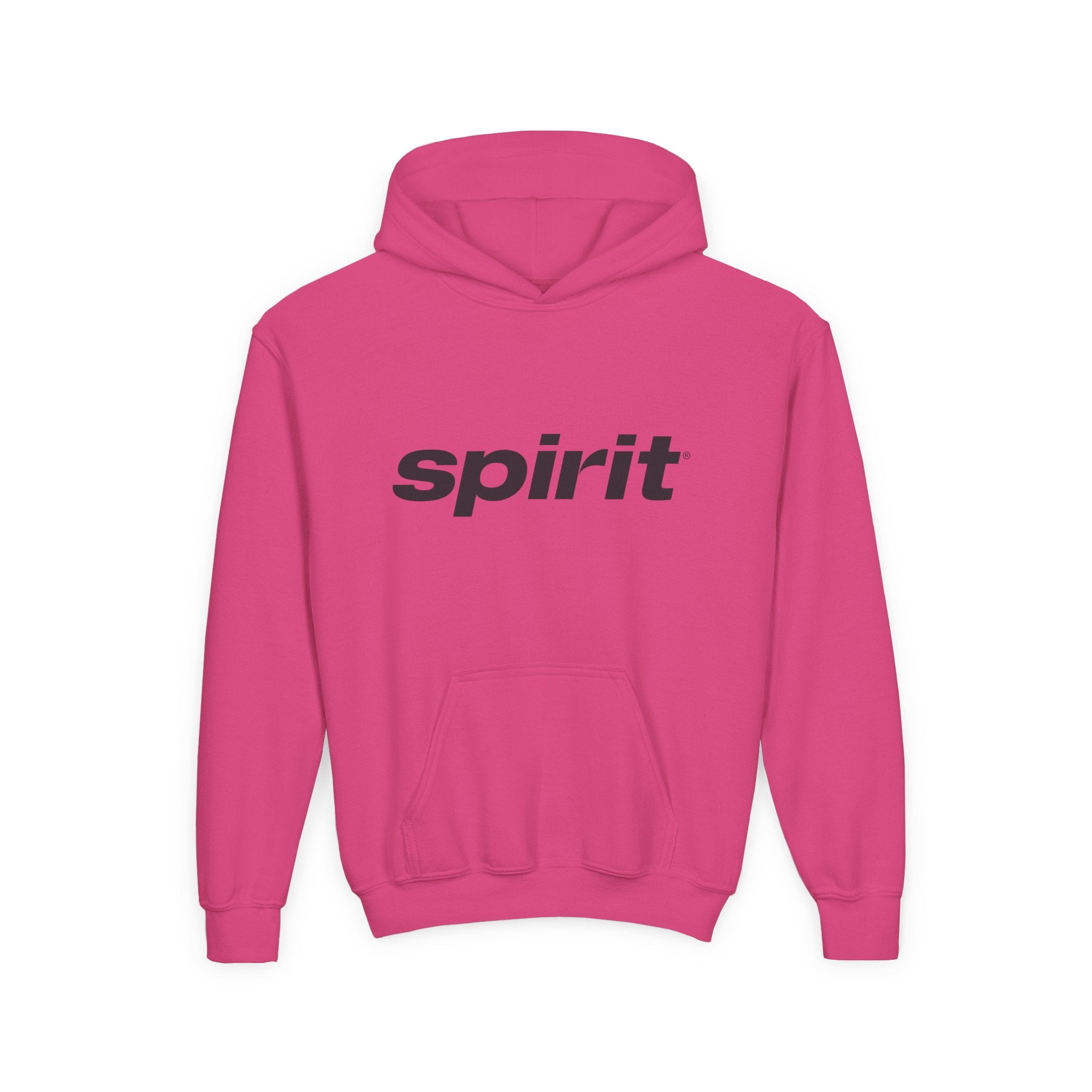 Spirit Airlines Youth Hoodie / Swaetshirt