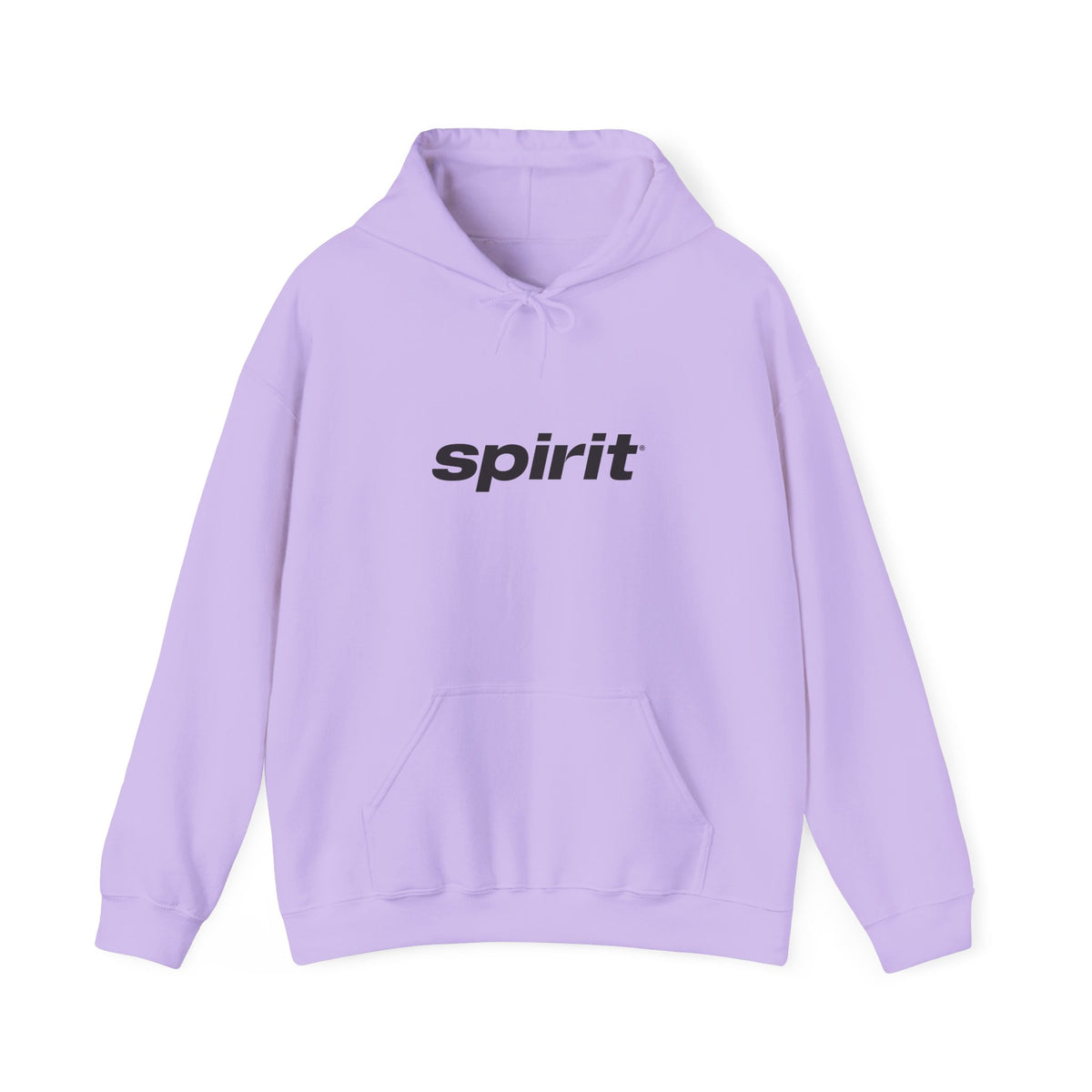 Spirit Airlines Hoodie / Sweatshirt