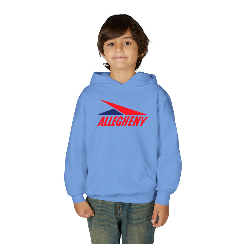 Allegheny Airlines Youth Hoodie / Sweatshirt