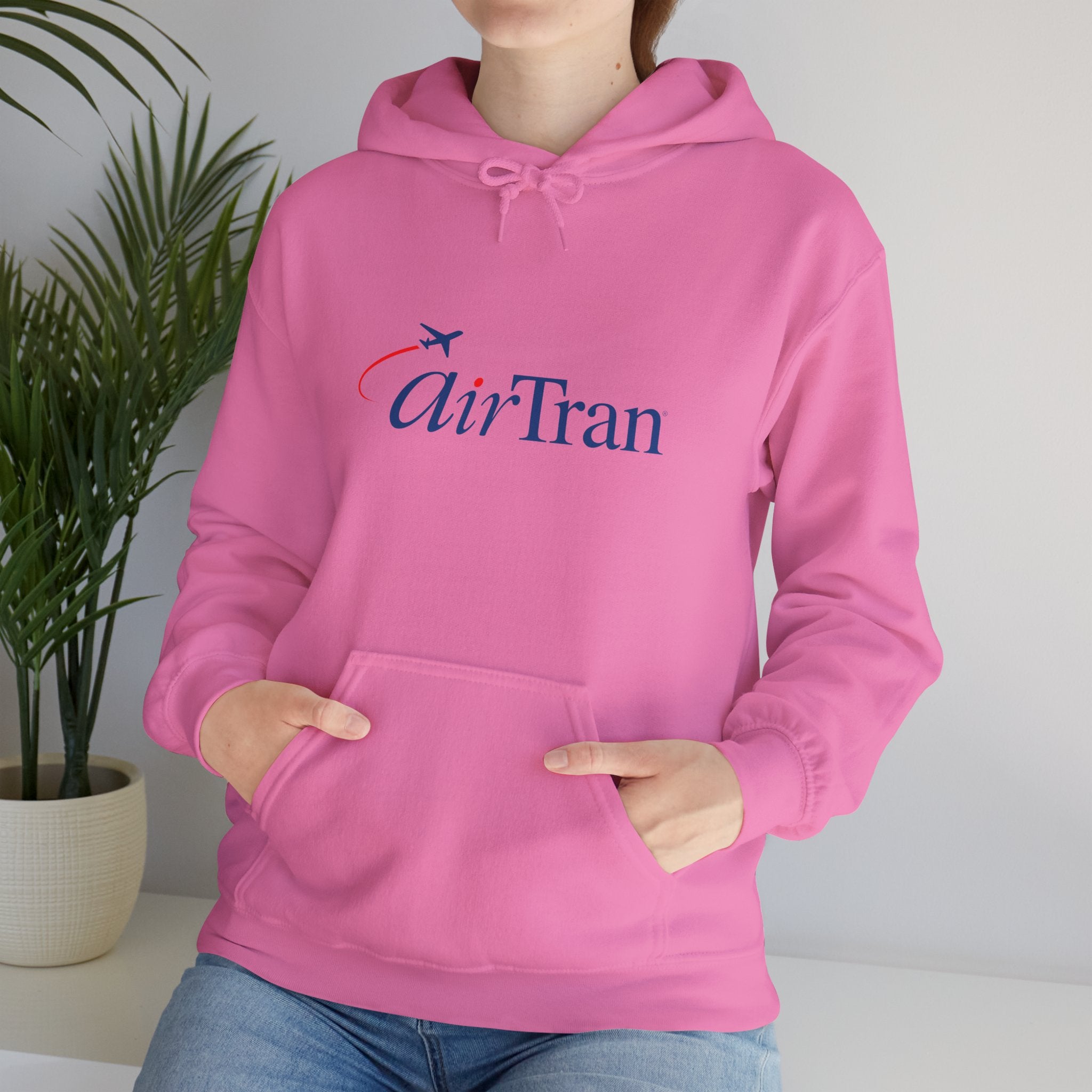 AirTran Airways Hoodie / Sweatshirt