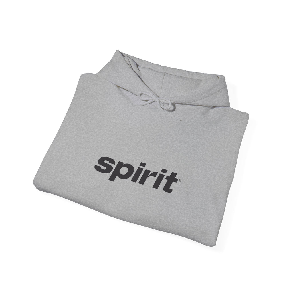 Spirit Airlines Hoodie / Sweatshirt