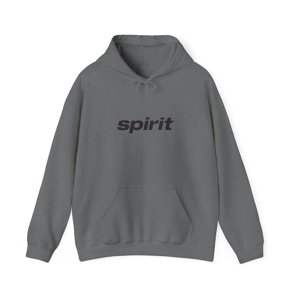 Spirit Airlines Hoodie / Sweatshirt