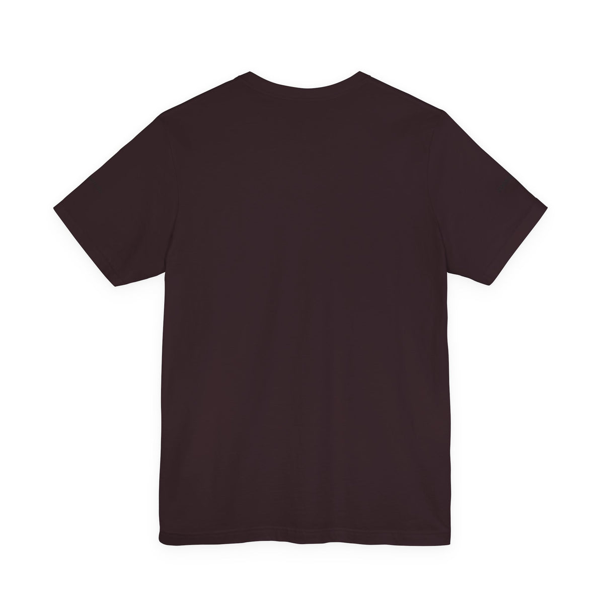 Bear Stearns T-Shirt 2008 Intern (Sleeve)