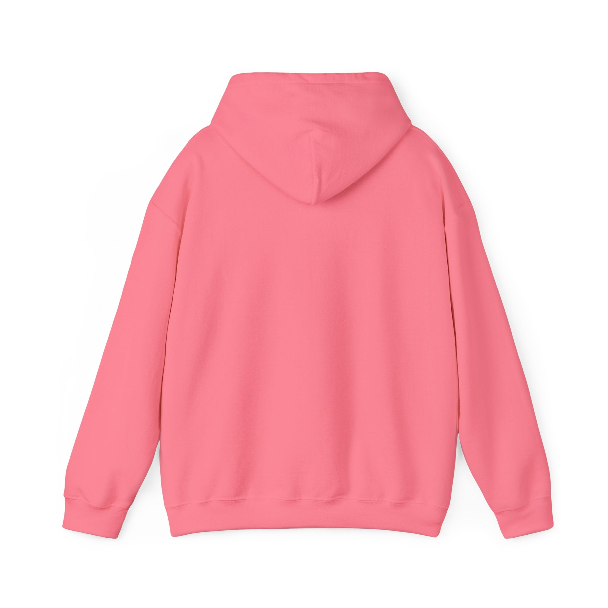 Northwestern Bell Hoodie / Sweatshirt