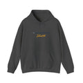 US Airways Shuttle Hoodie / Sweatshirt