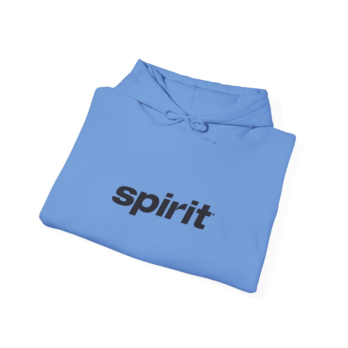Spirit Airlines Hoodie / Sweatshirt