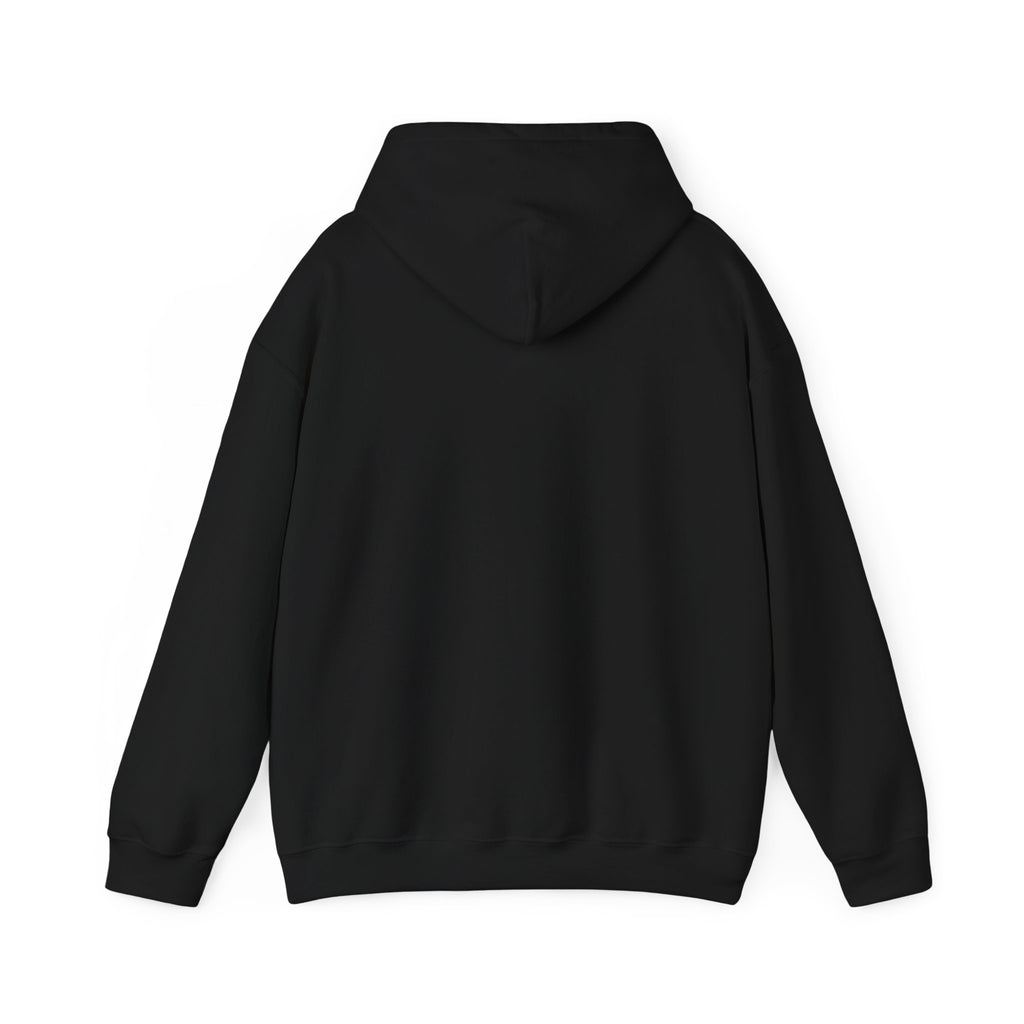 Air Afrique Hoodie / Sweatshirt