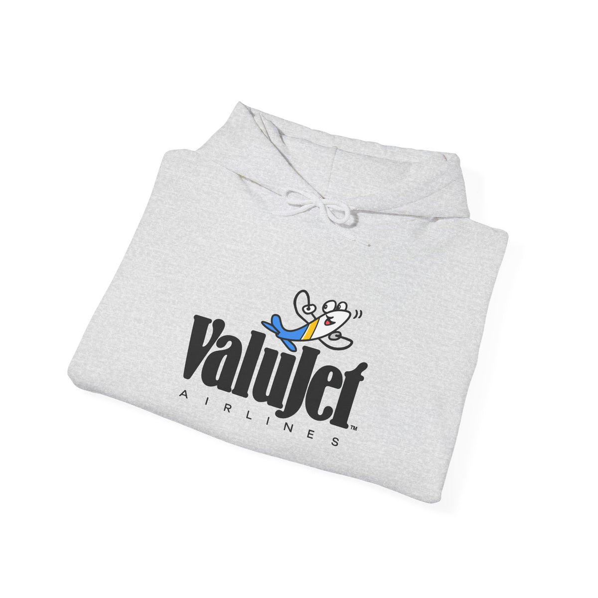 ValuJet Airlines Hoodie / Sweatshirt