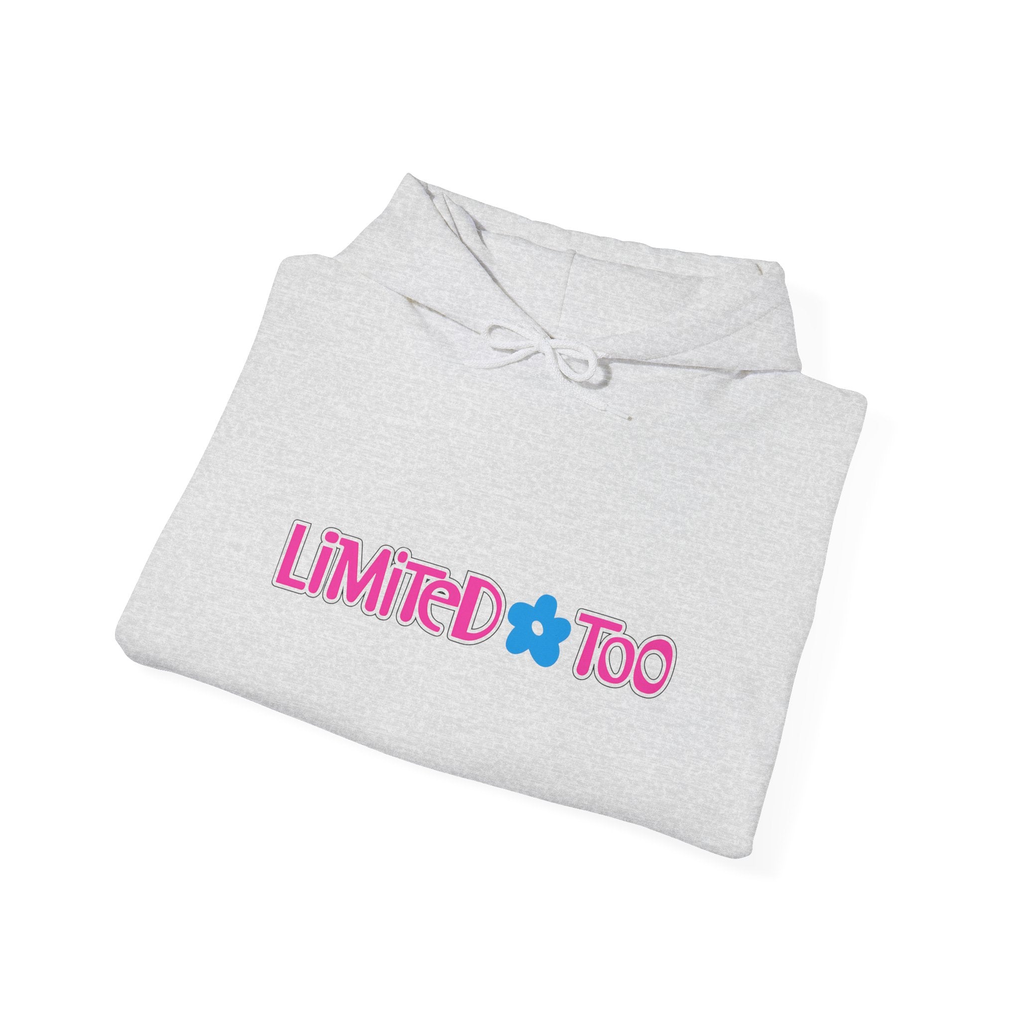 Limited Too Hoodie / Sweatshirt