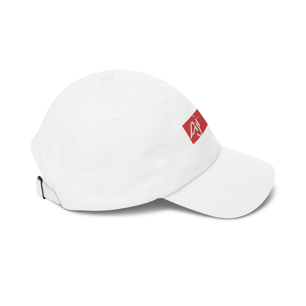 Afghan Jet International Airlines Embroidered Dad Cap Hat