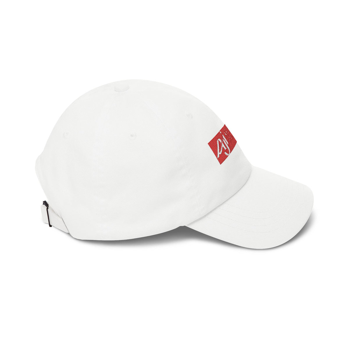 Afghan Jet International Airlines Embroidered Dad Cap Hat