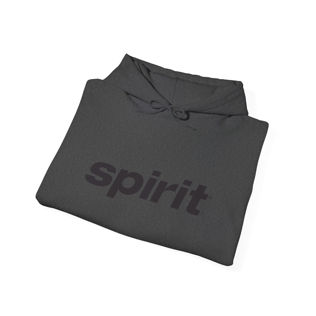 Spirit Airlines Hoodie / Sweatshirt