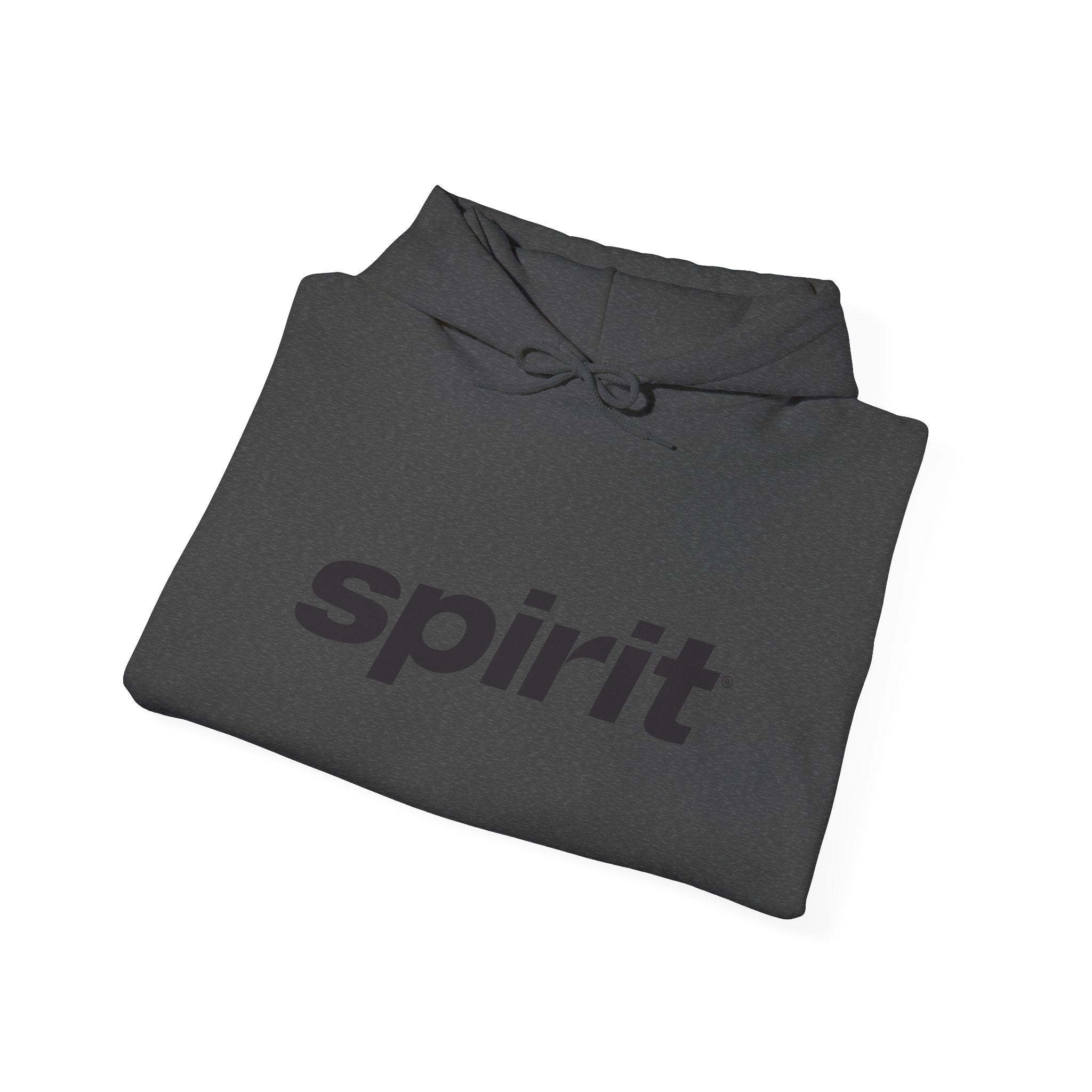 Spirit Airlines Hoodie / Sweatshirt