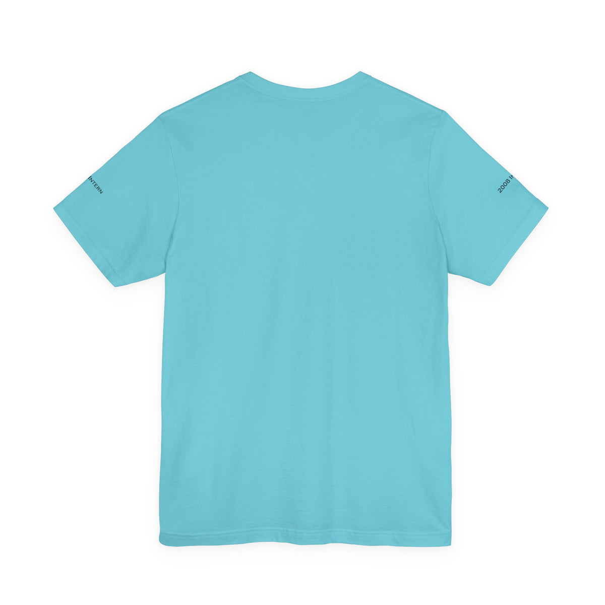 Bear Stearns T-Shirt 2008 Intern (Sleeve)