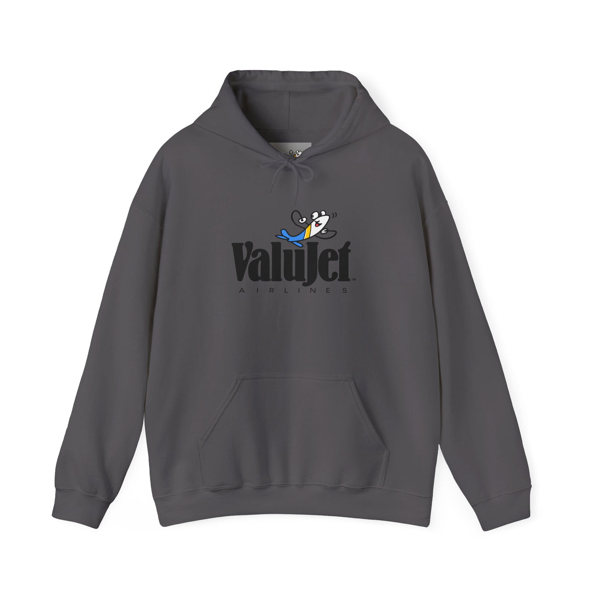 ValuJet Airlines Hoodie / Sweatshirt