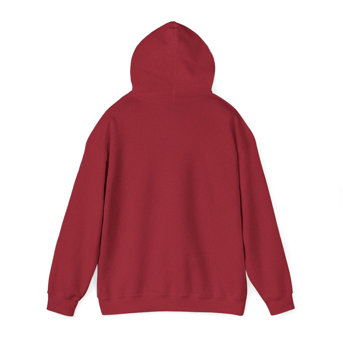 Spirit Airlines Hoodie / Sweatshirt