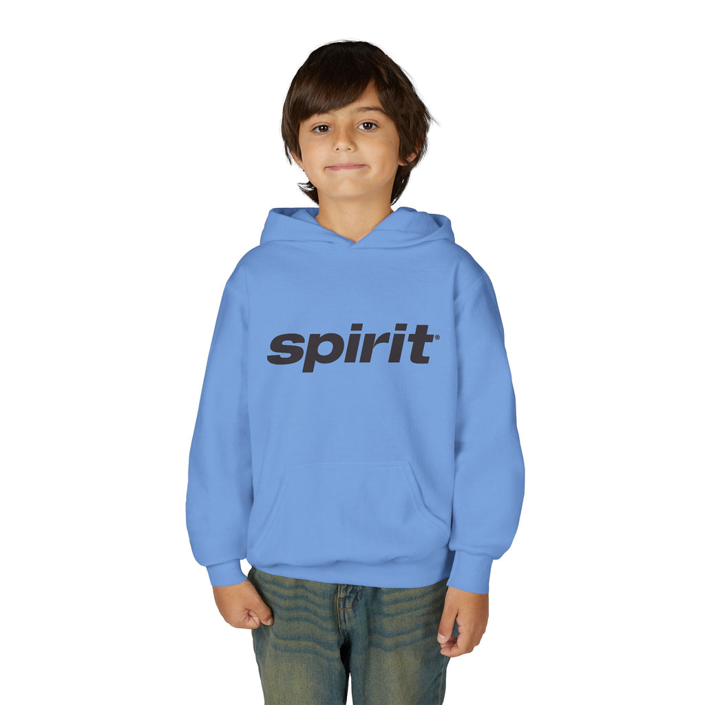 Spirit Airlines Youth Hoodie / Swaetshirt