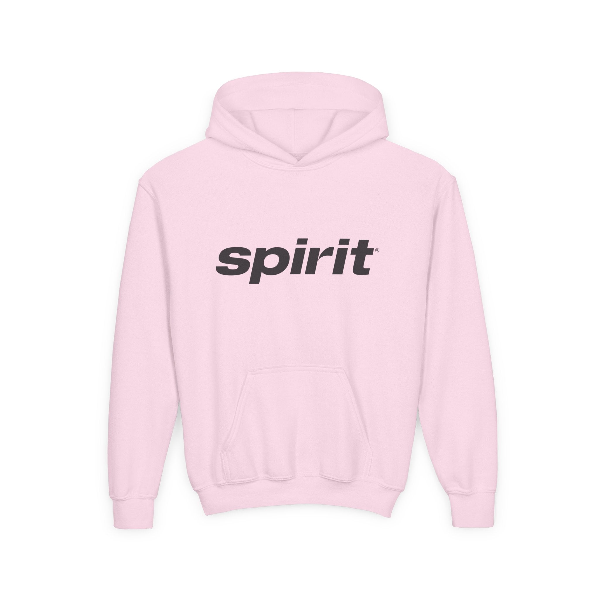 Spirit Airlines Youth Hoodie / Swaetshirt